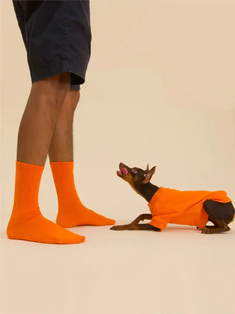 Iikea Daily Sock - Orange